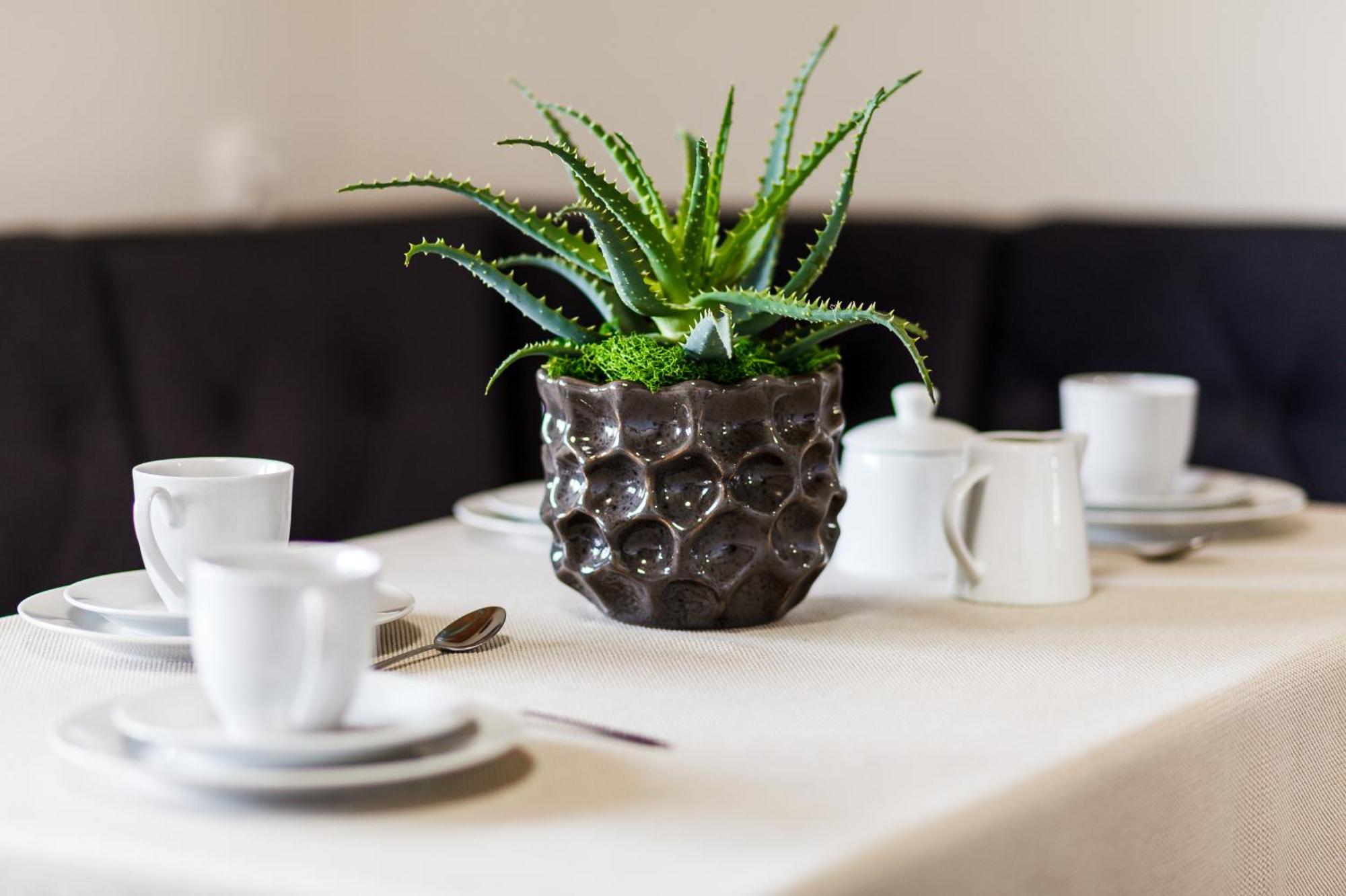 Apartament z widokiem na morze Gdynia Zewnętrze zdjęcie
